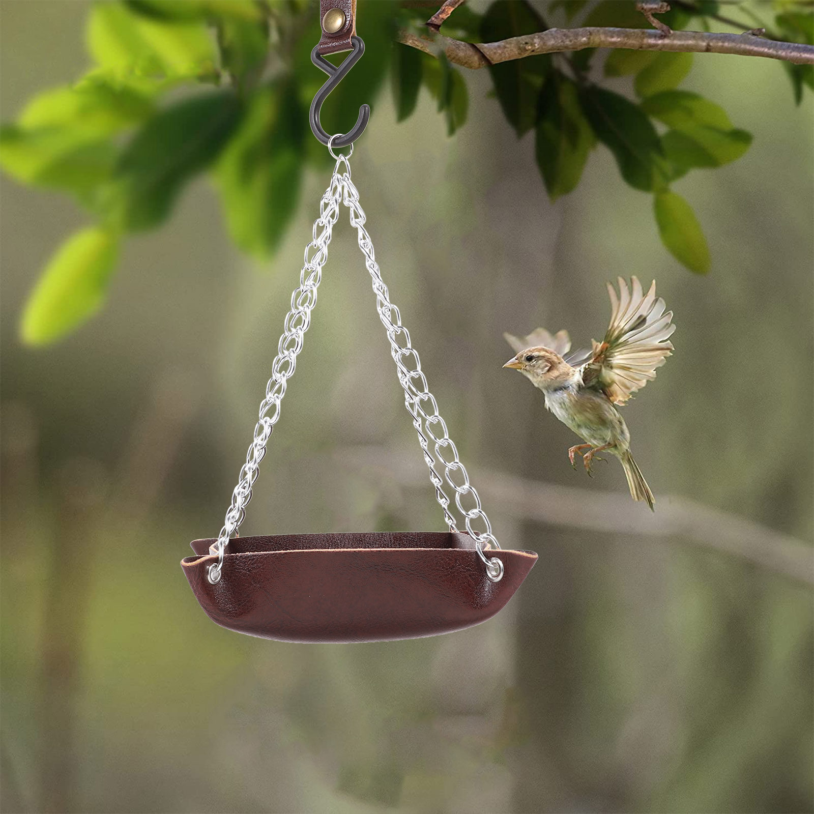 Mangeoire transparente robuste - Feeding avis et prix